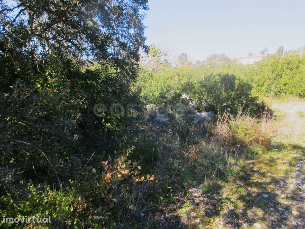 Terreno Urbano de 3244m² em Mira de Aire - Uma excelente opção para... - Grande imagem: 3/18