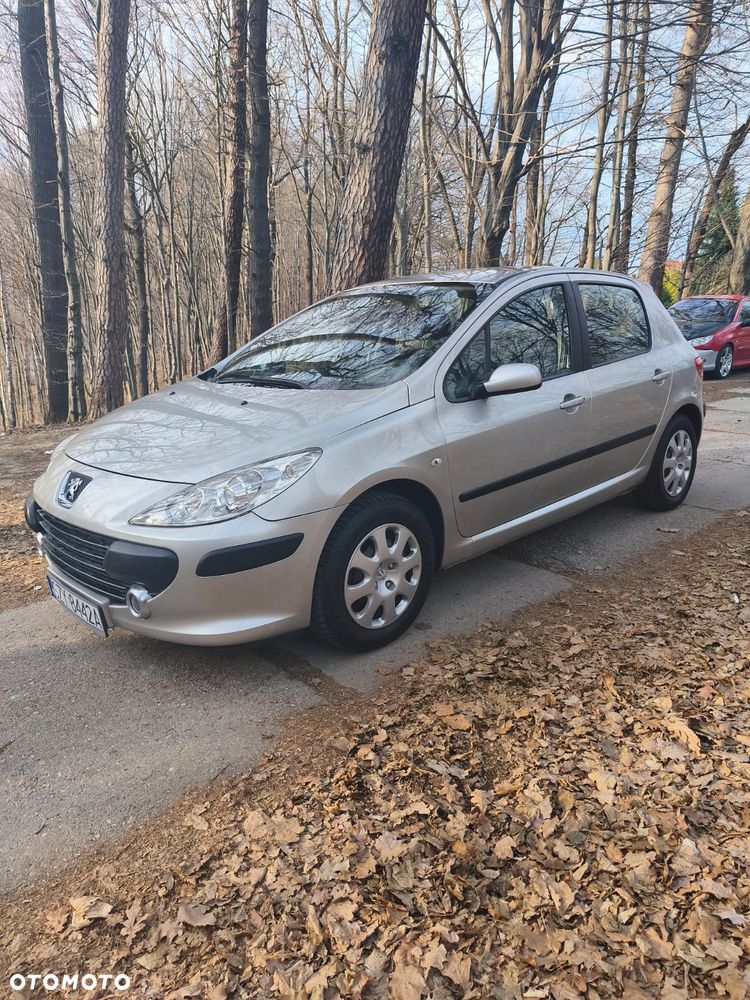 Peugeot 307 - 5
