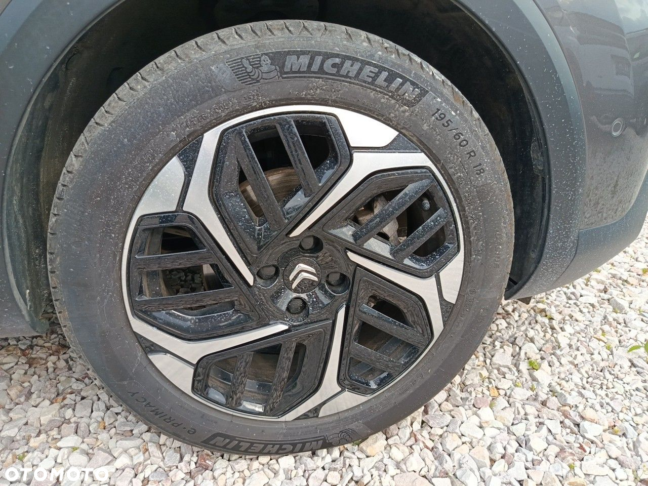 Citroën C4 1.2 PureTech Max S&S EAT8 - 11