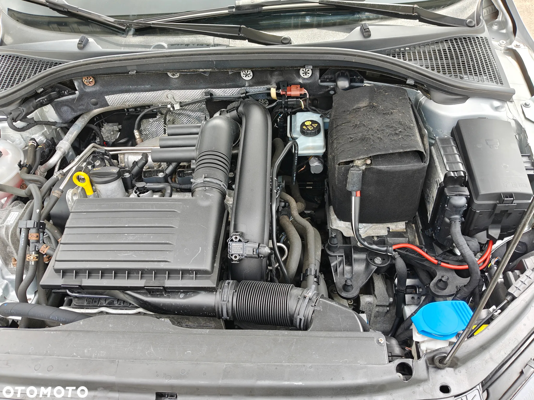 Skoda Octavia - 11