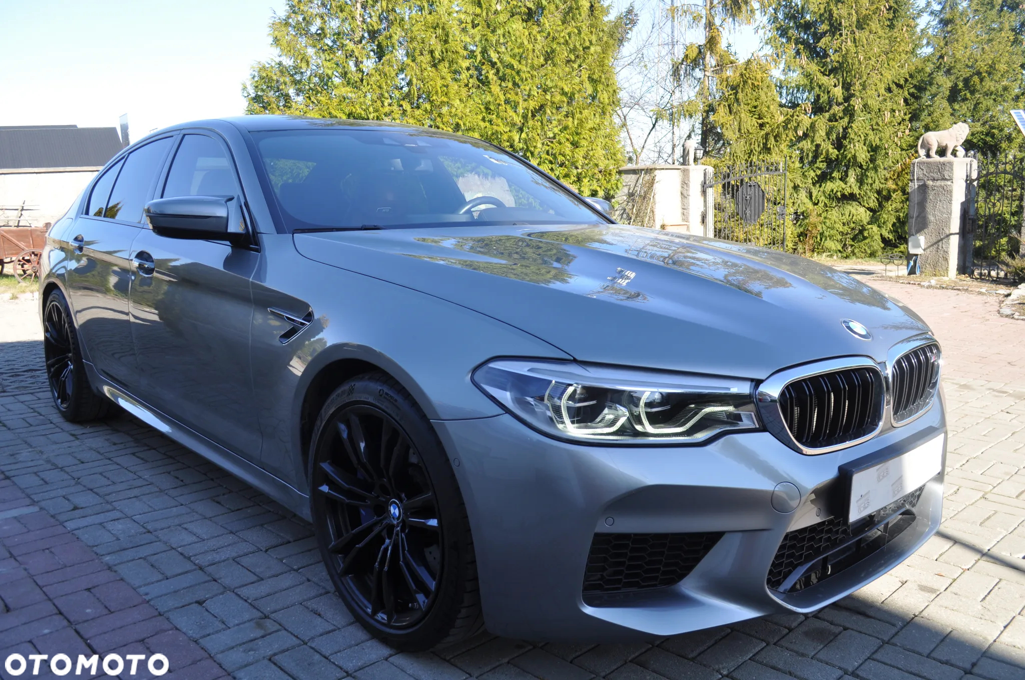 BMW M5 Standard - 6