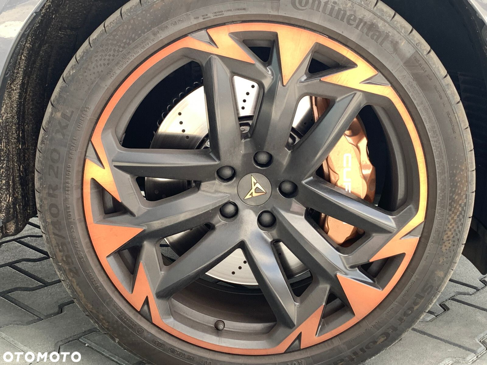 Cupra Terramar - 7