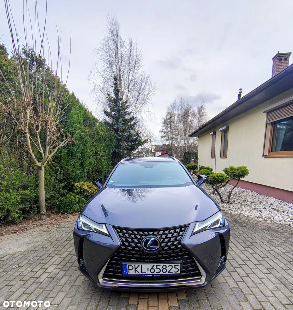 Lexus UX 250h Prestige 2WD - 1