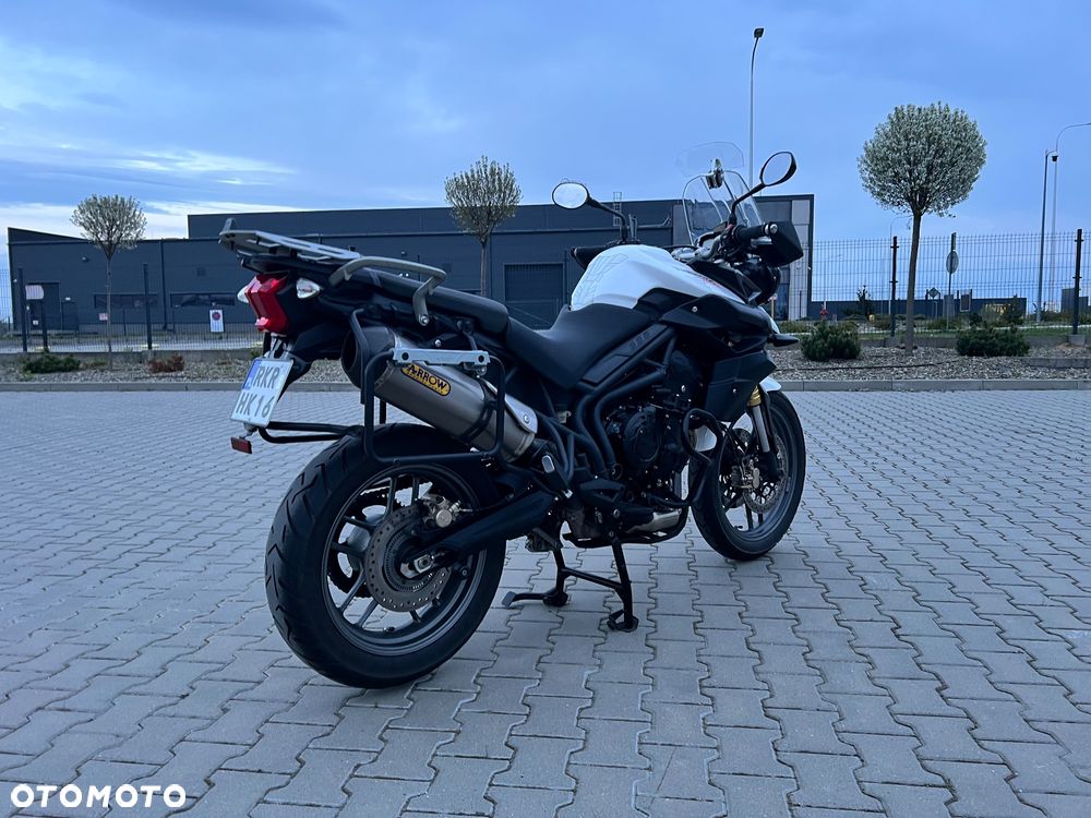 Triumph Tiger - 7