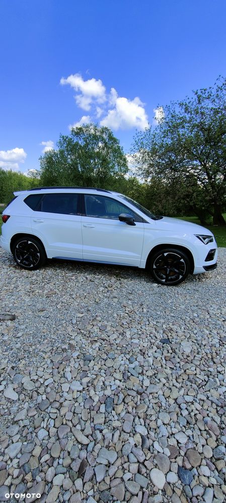 Cupra Ateca - 12