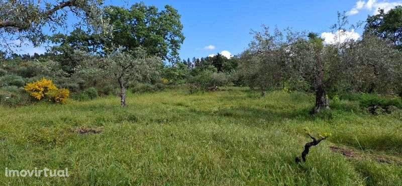Terreno à venda em Salvador, Penamacor - Grande imagem: 3/12