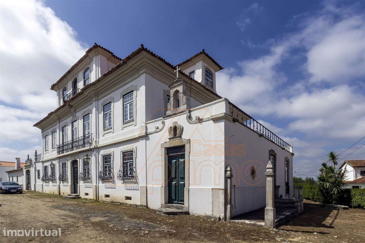 Herdade T8 - Anadia - Aveiro/ Venda - Grande imagem: 2/60