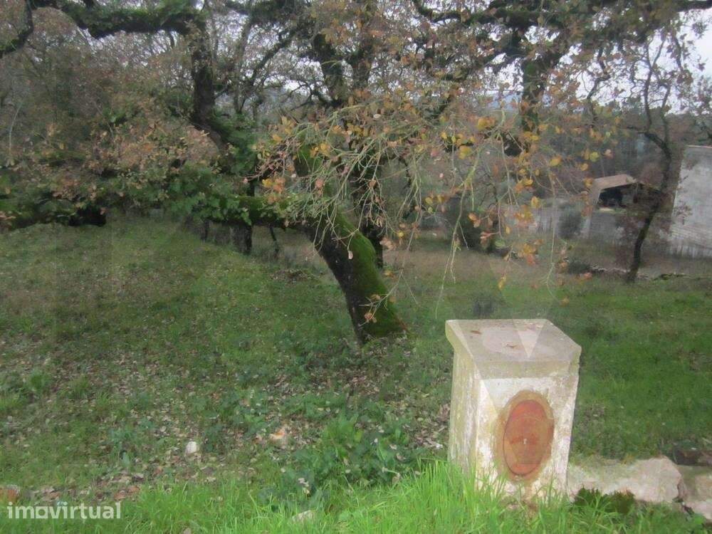 Terreno para Construção em Santiago da Guarda – Ansião - Grande imagem: 2/5