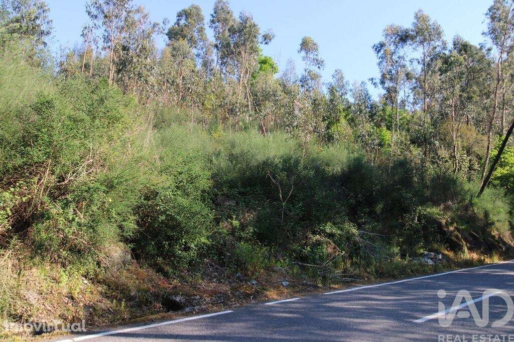 Terreno Agrícola em Lemenhe, Mouquim e Jesufrei - Grande imagem: 5/8