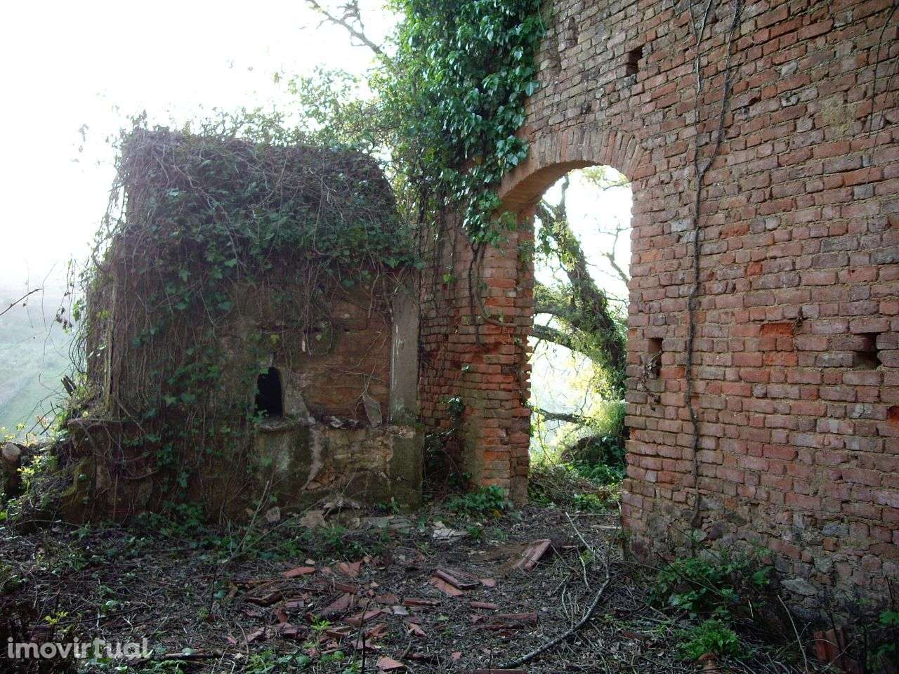 Quinta do Conventinho - Óbidos - Grande imagem: 5/13