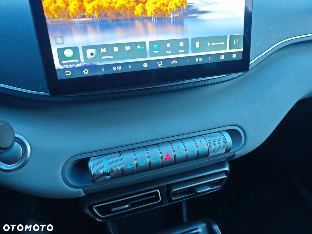 BYD Dolphin Surf 43.2kWh Boost - 36