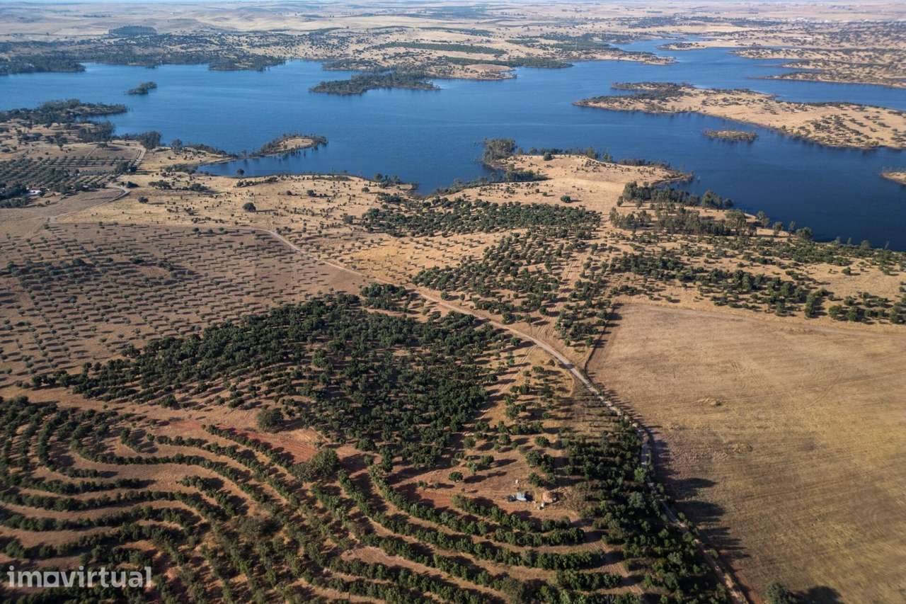 Propriedade  com 15.3ha, junto à barragem do Monte da Rocha - Ourique - Grande imagem: 4/15