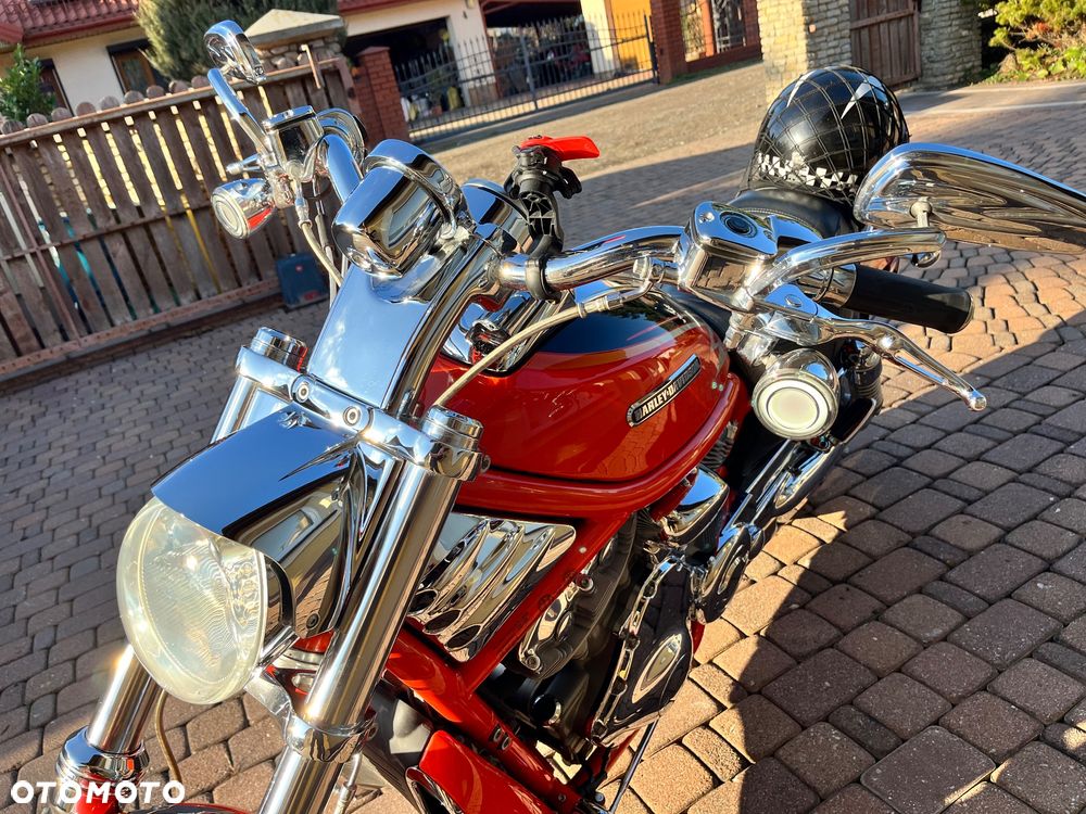 Harley-Davidson Softail V-Rod - 11