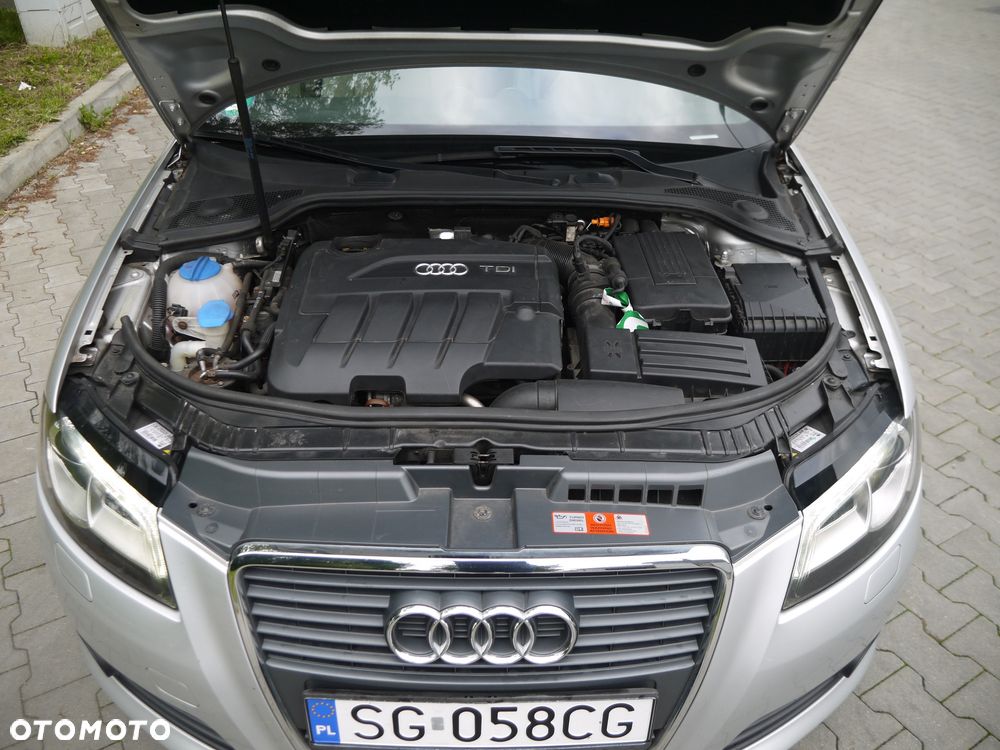 Audi A3 Cabrio 2.0 TDI DPF Ambition - 12