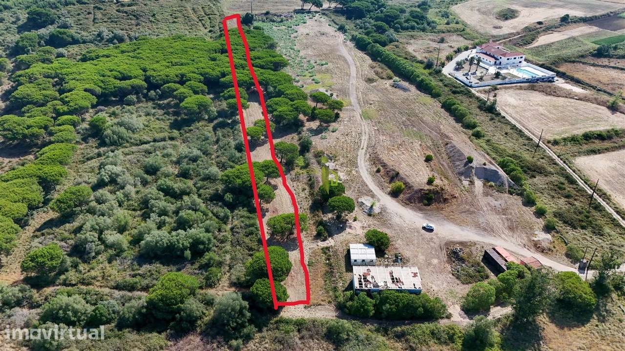 Terreno Rústico com 4.680m2 a venda na Terrugem - Grande imagem: 5/14