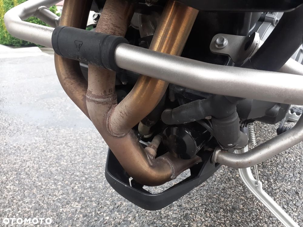 Triumph Tiger - 19