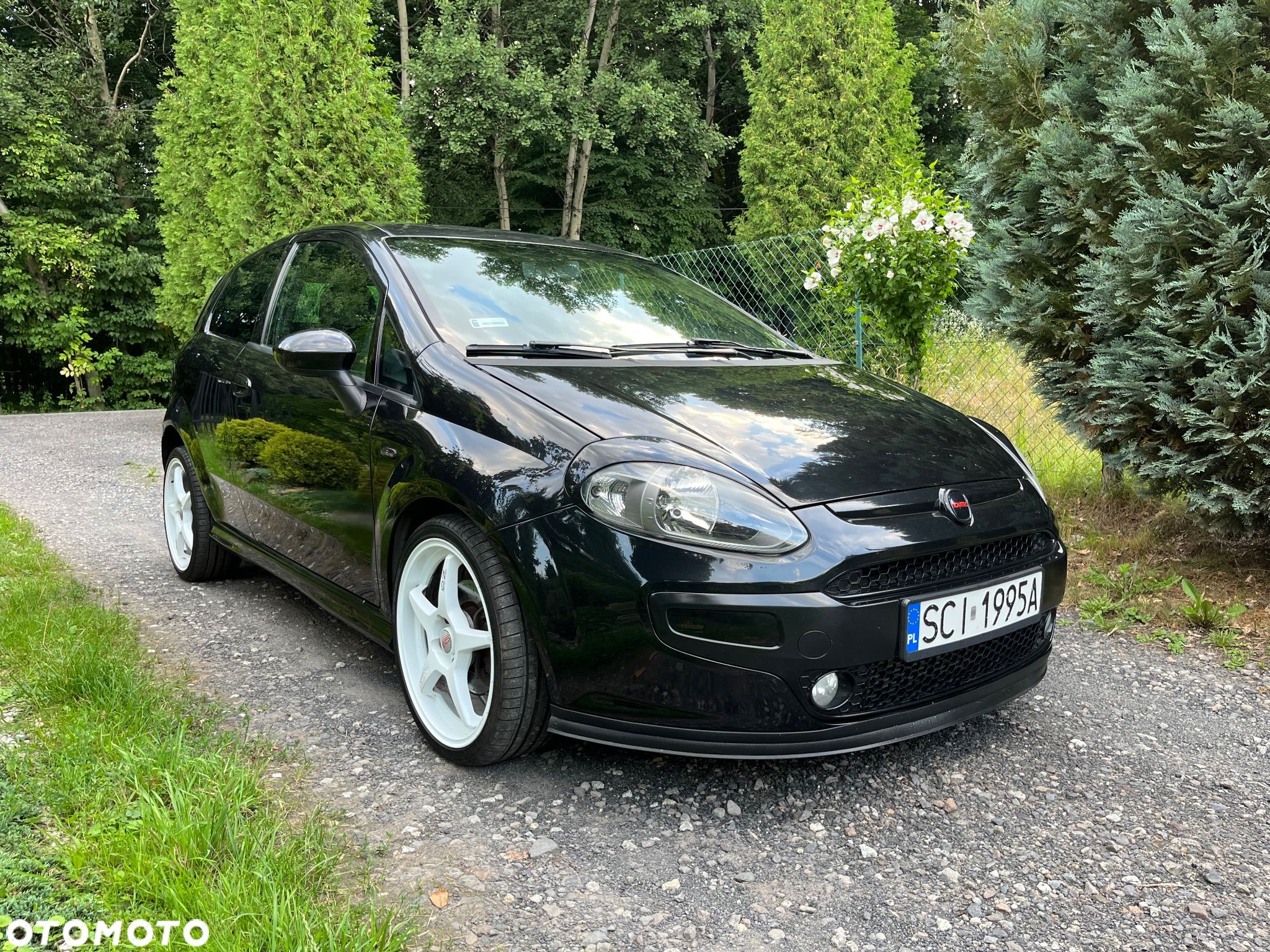 Fiat Punto Evo 1.4 T 16V Multiair Energy - 1