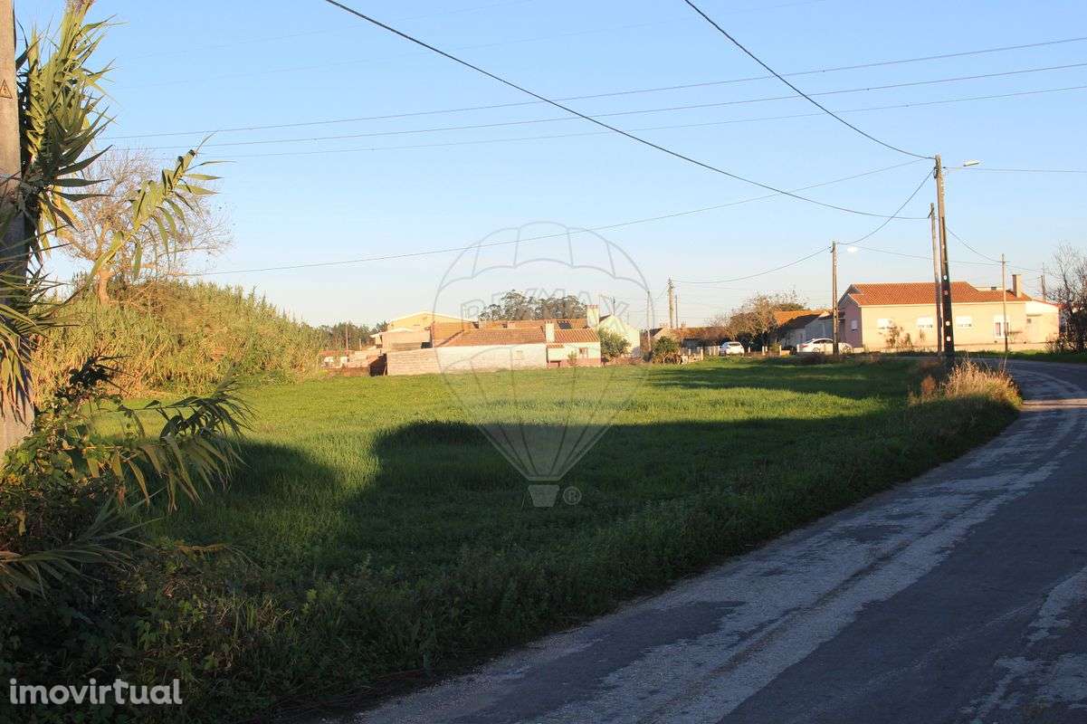 Terreno  para Venda - Grande imagem: 3/8