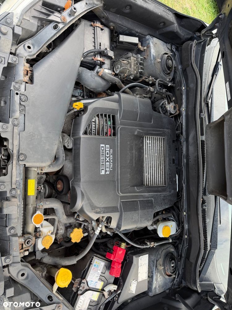 Subaru Forester - 22