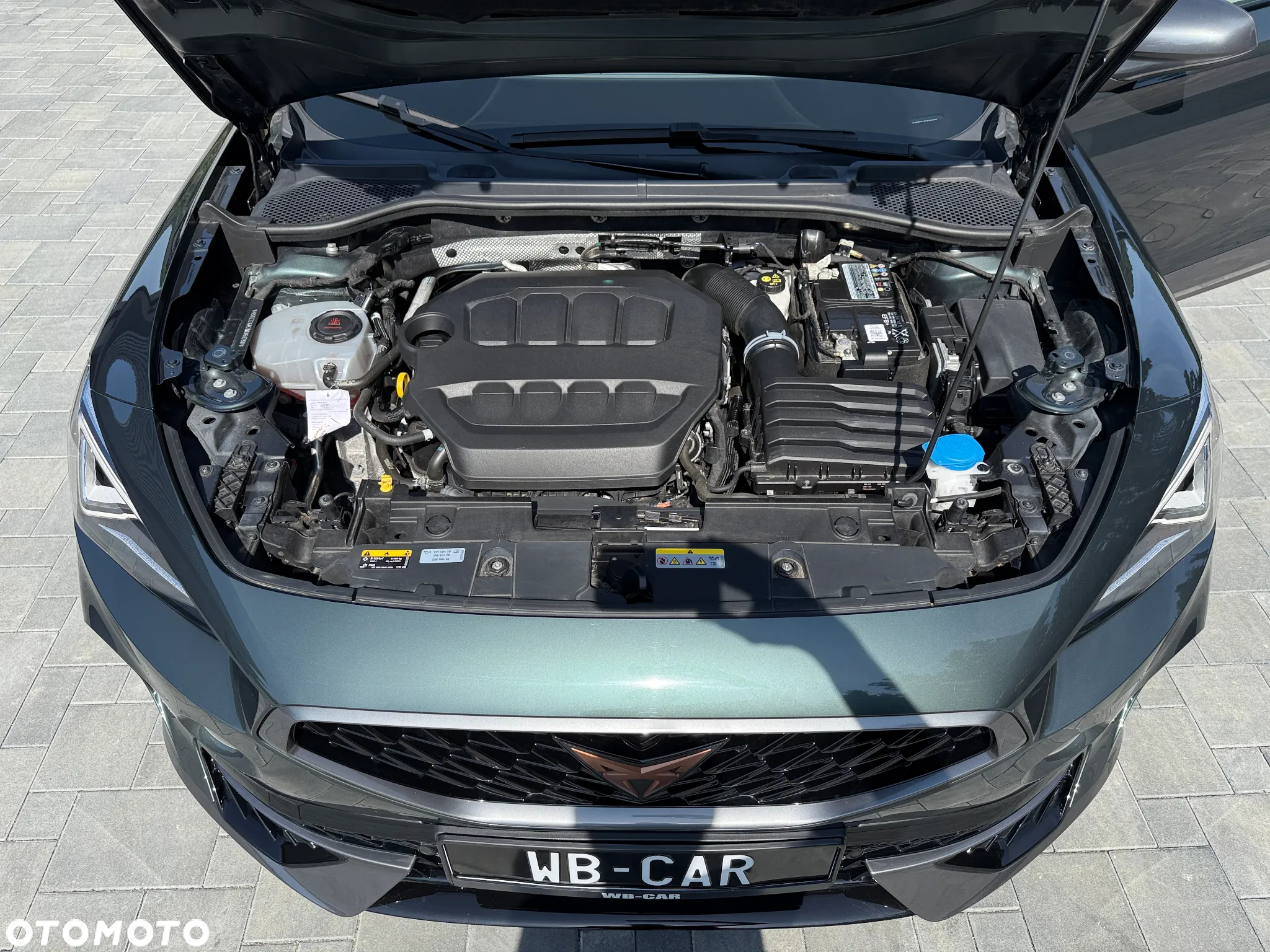 Cupra Formentor VZ 2.0 TSI 4Drive DSG - 15