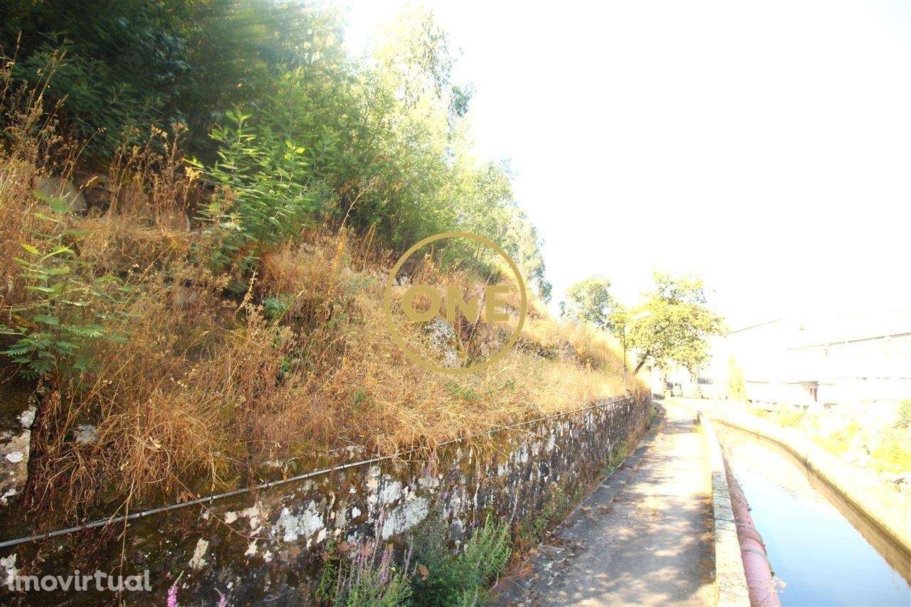 Oportunidade Única em Aves! - Grande imagem: 4/6