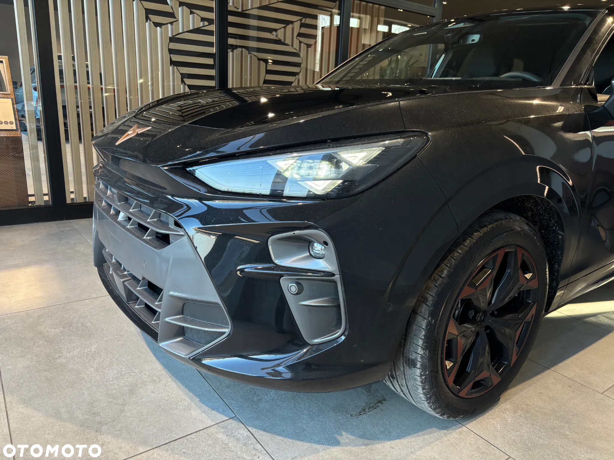 Cupra Terramar 2.0 TSI 4Drive DSG - 10