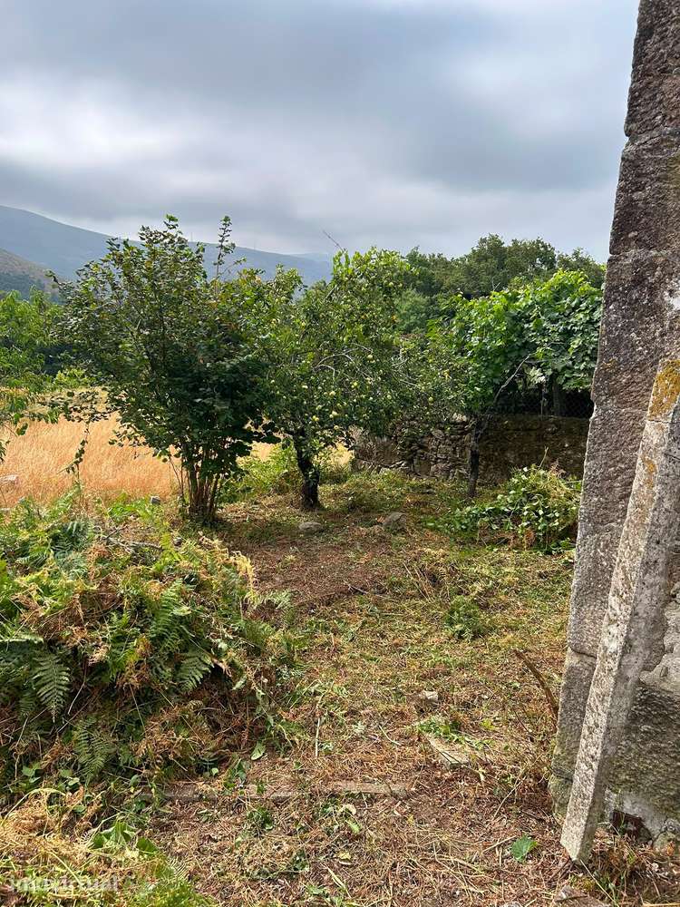 Casa de montanha perto piscinas de natureza de Taião - Grande imagem: 5/16