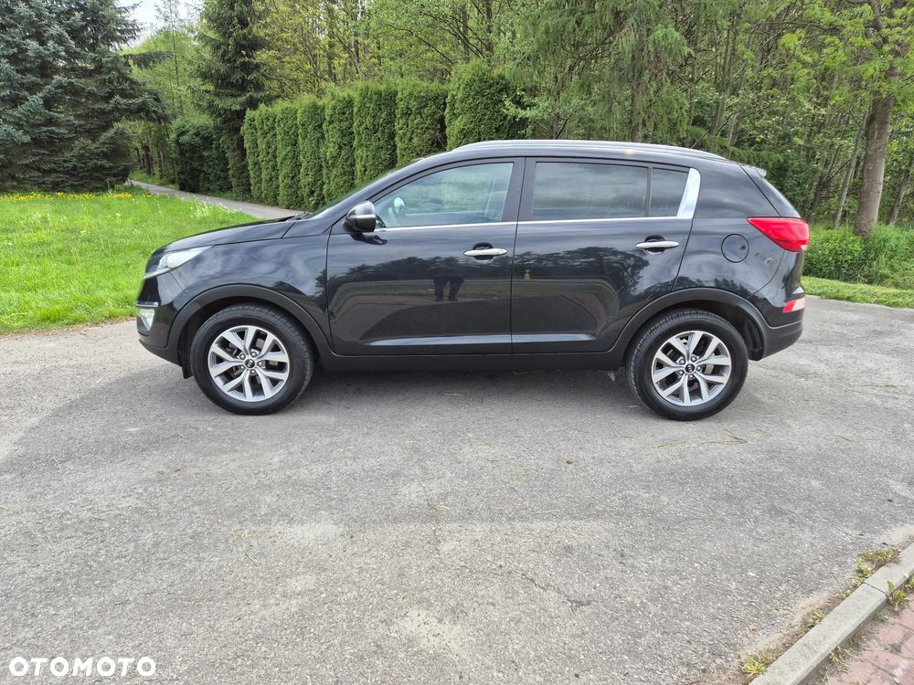 Kia Sportage 1.6 GDI Business Line M 2WD - 13