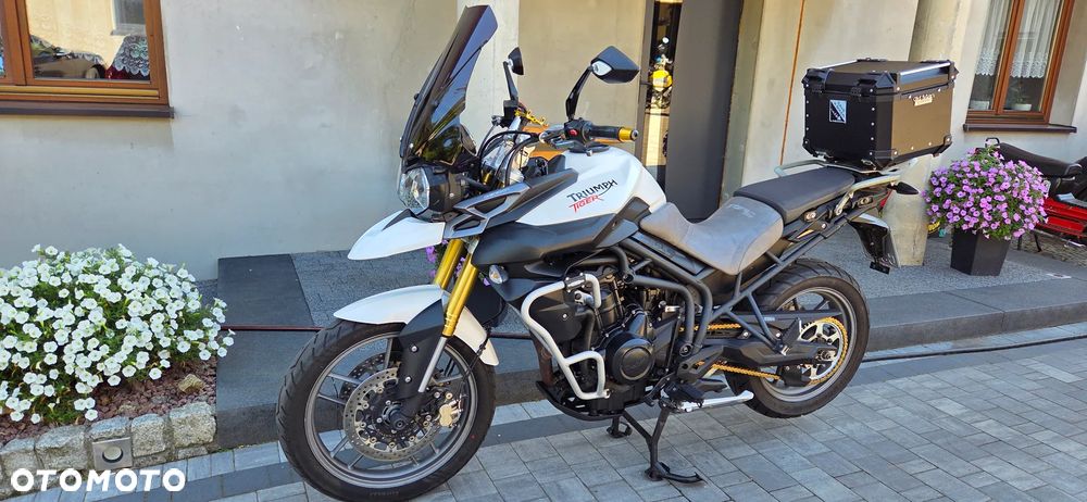Triumph Tiger - 11