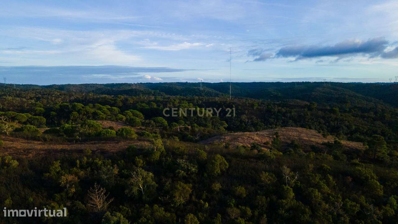 Terreno com vista mar Santa Cruz - Santiago do Cacém - Grande imagem: 5/8