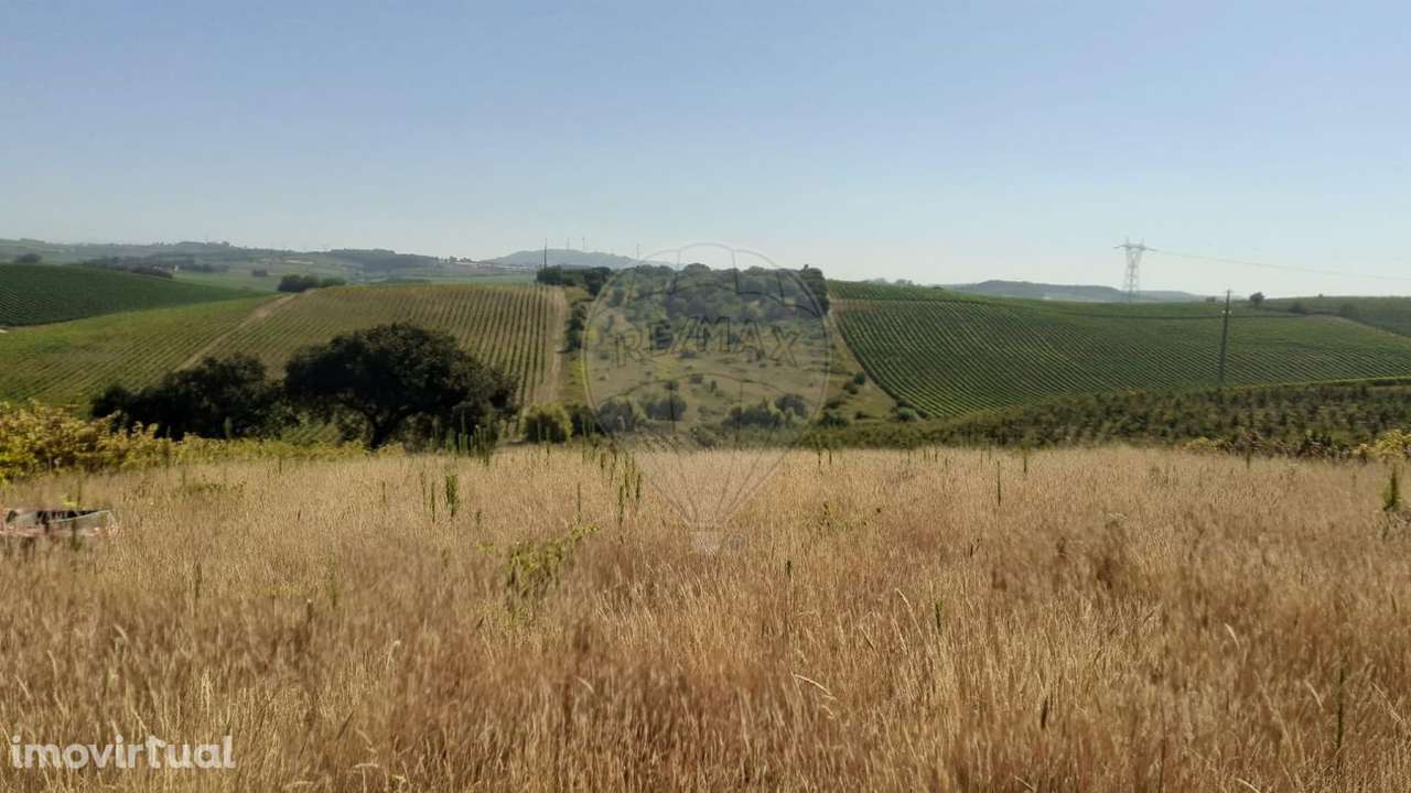 Terreno  para venda - Grande imagem: 2/7