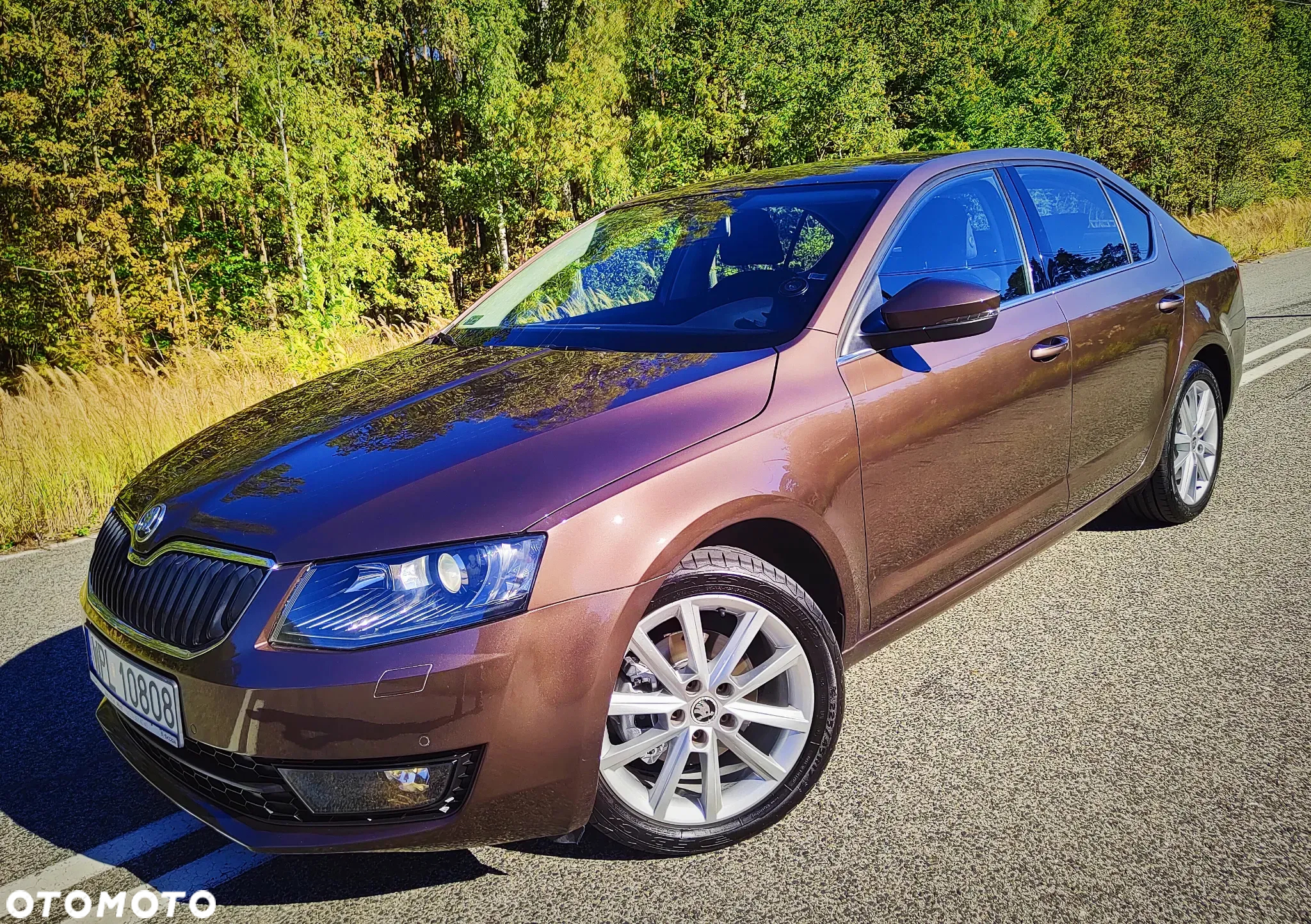 Skoda Octavia 1.4 TSI Elegance - 5