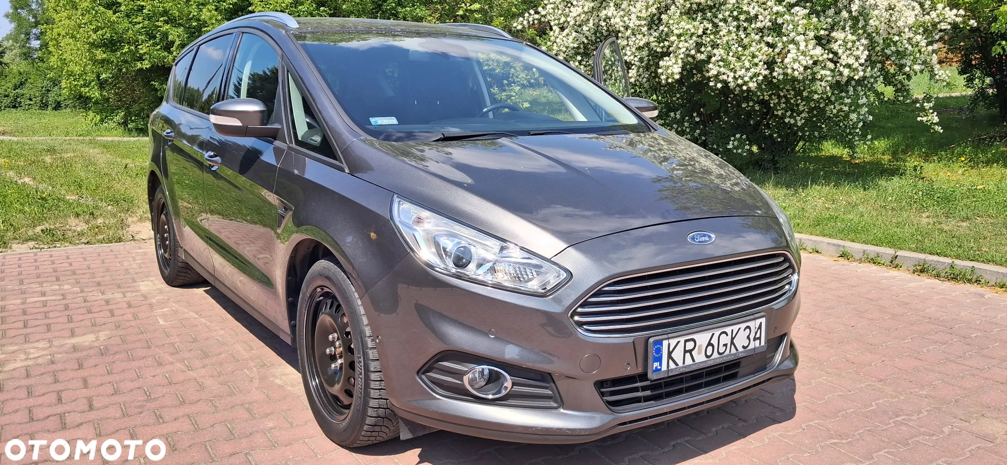 Ford S-Max 2.0 EcoBlue Titanium - 6