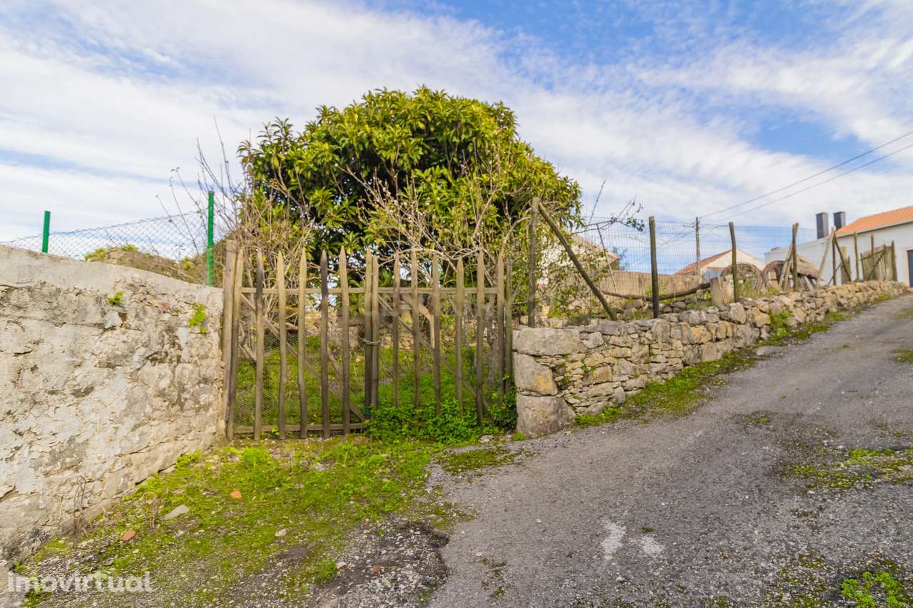 Ruína para Venda no Carvalhal de Ajubarrota - Grande imagem: 2/18