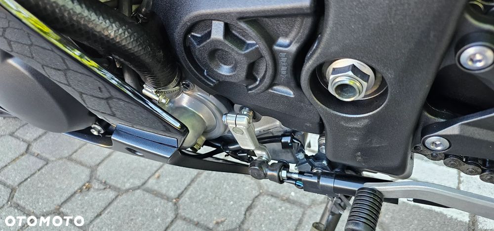 Kawasaki Ninja - 39