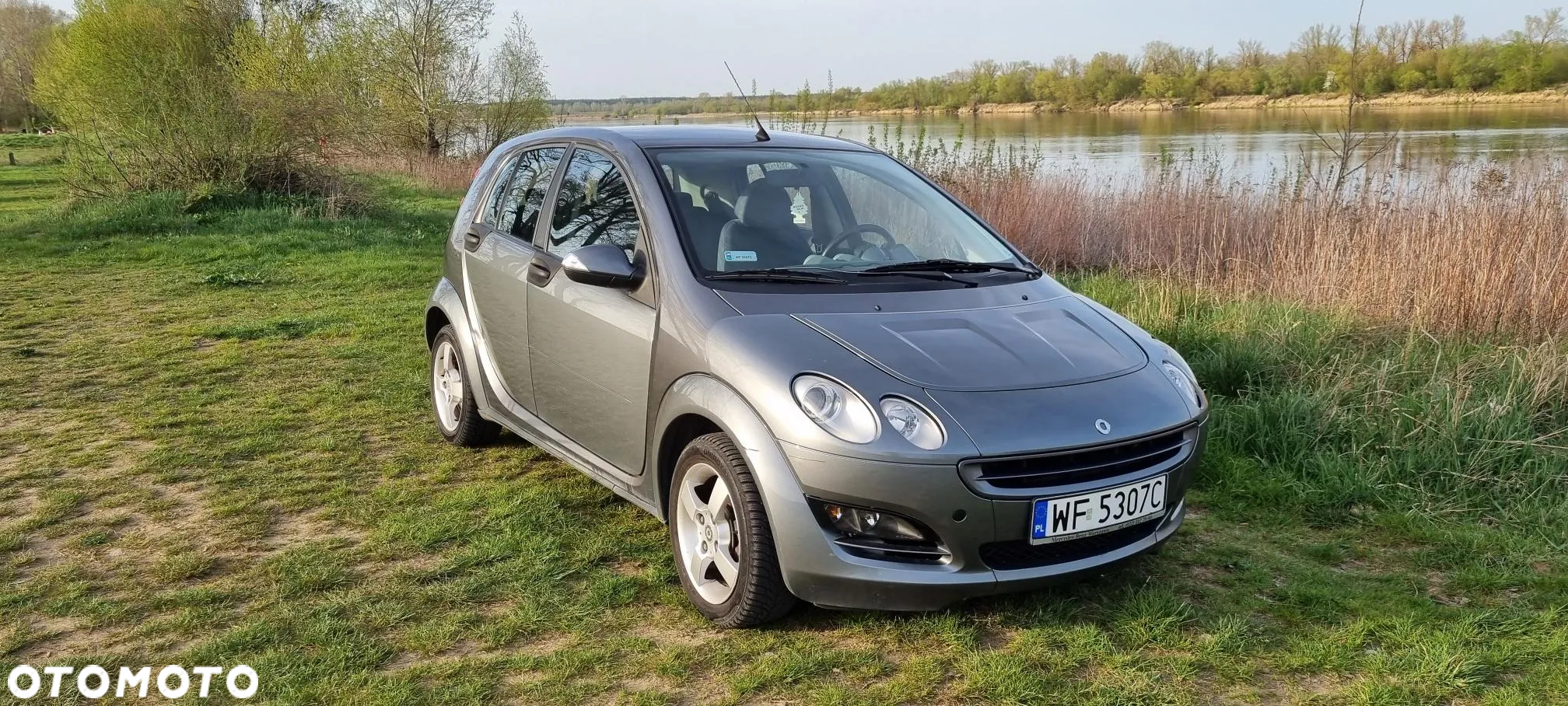 Smart Forfour passion - 7