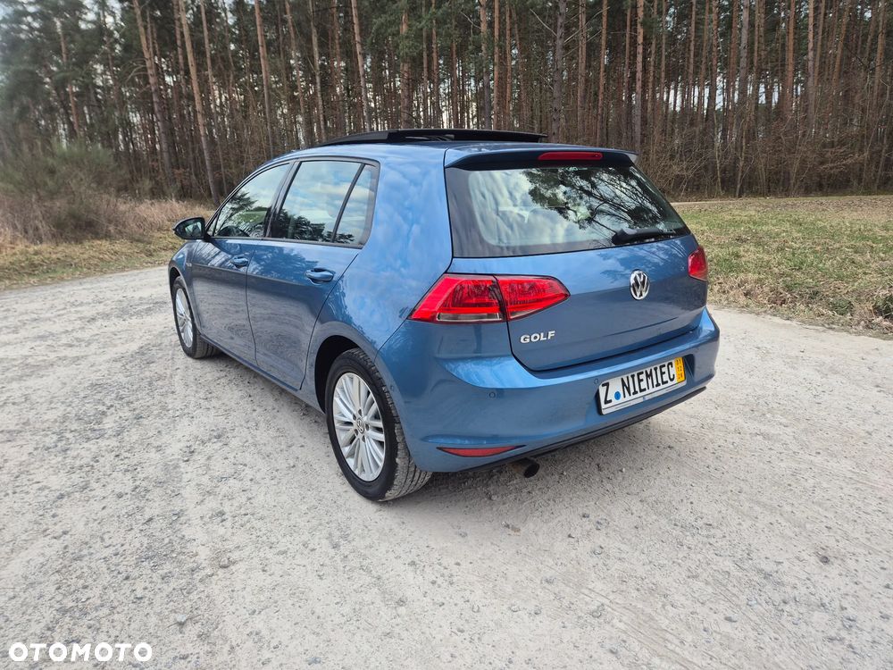 Volkswagen Golf - 15