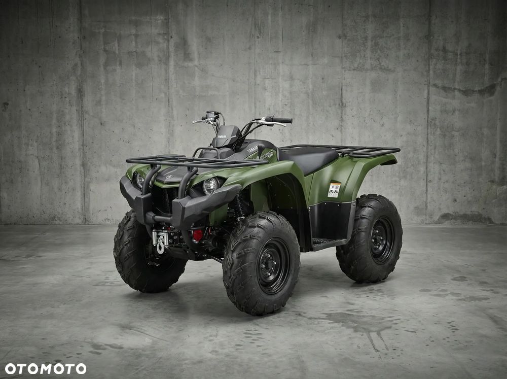 Yamaha Kodiak - 1