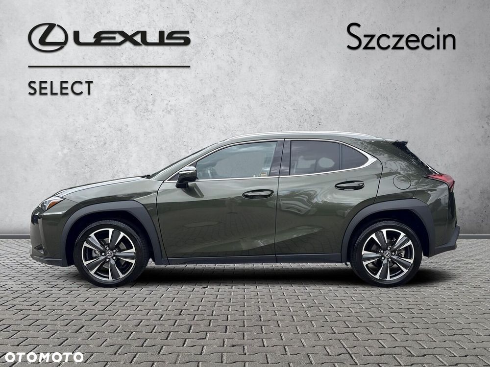 Lexus UX 300h Business - 2