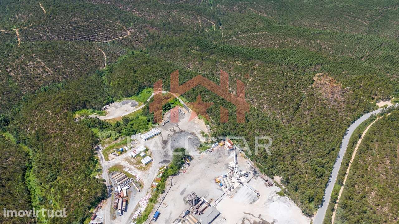 Terreno Florestal / Eucaliptal / 10 Hectares / Trofa - Grande imagem: 2/23