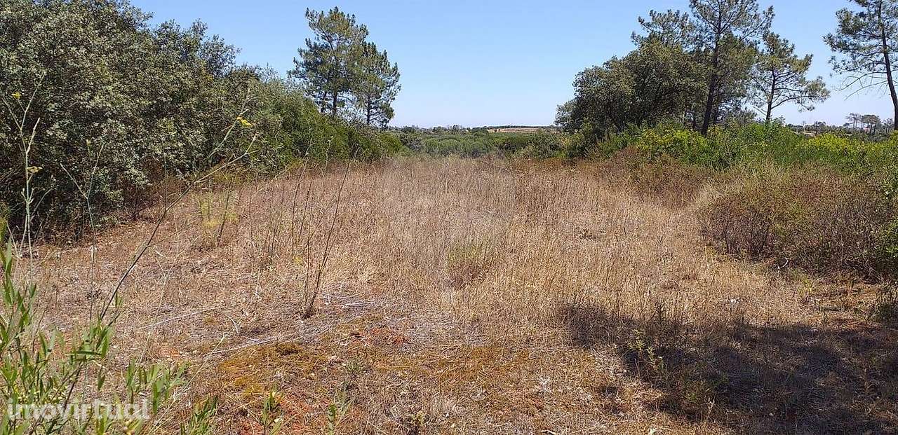 Terreno  para venda - Grande imagem: 5/8