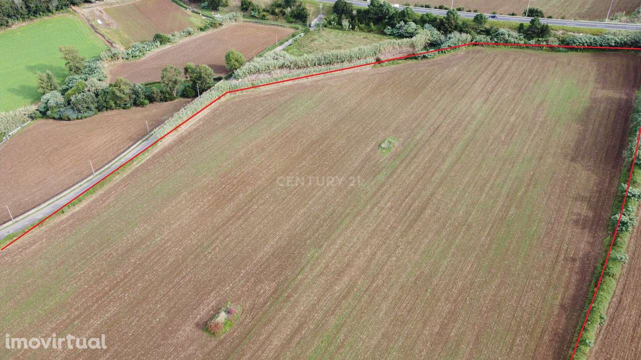 Terreno para Urbanização ou turismo na cidade da Lagoa - Grande imagem: 5/6