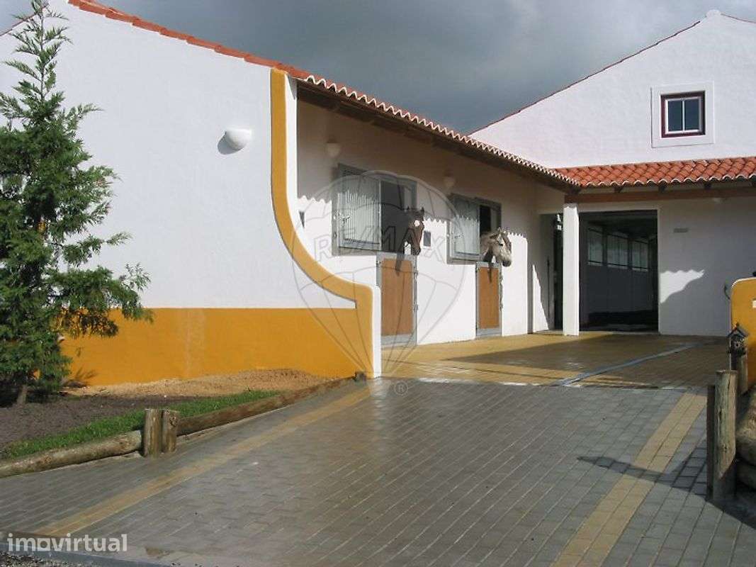 Quinta T9 para venda - Grande imagem: 3/25