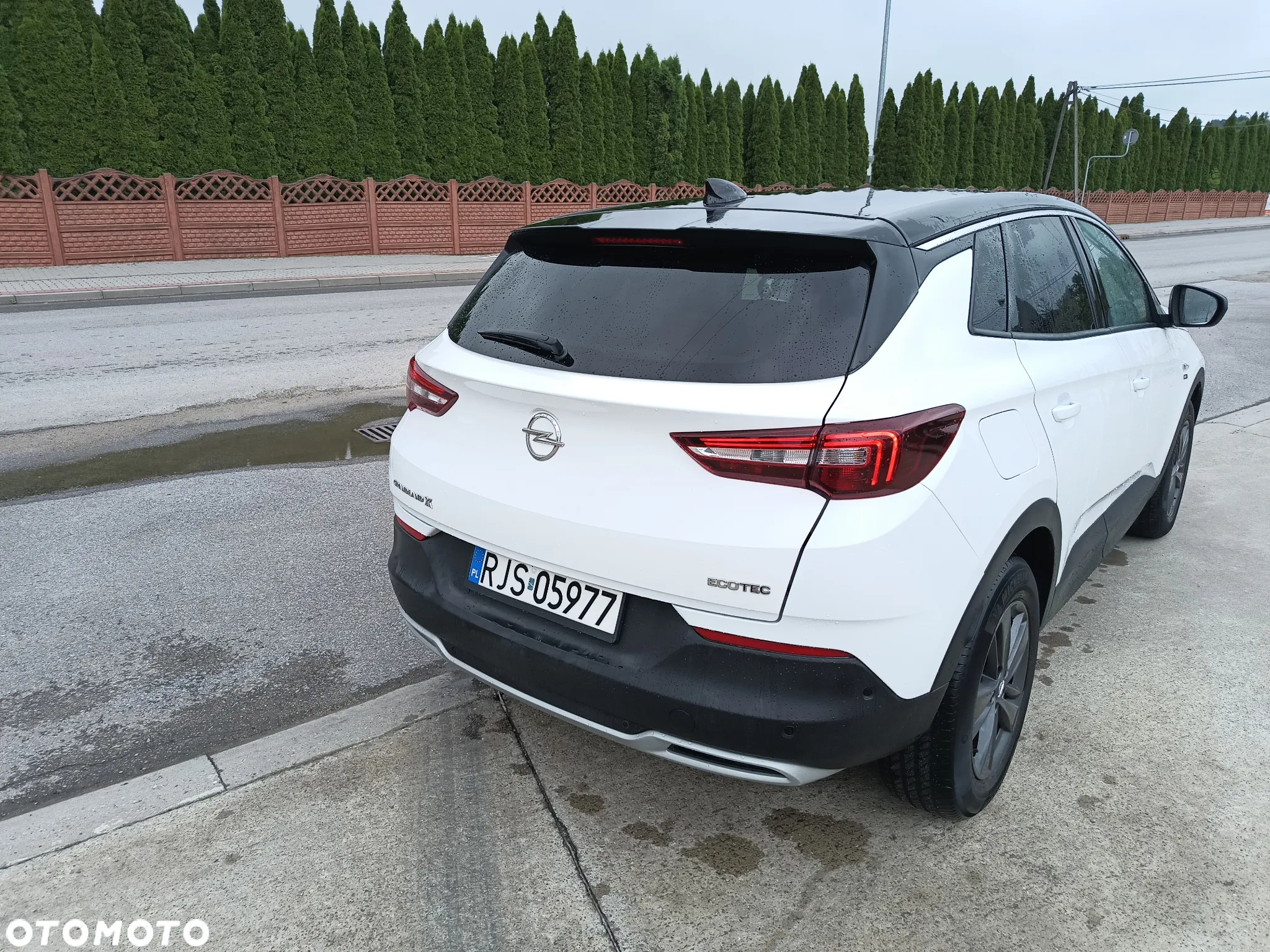 Opel Grandland X 1.2 T GPF Edition Business Pack S&S - 2