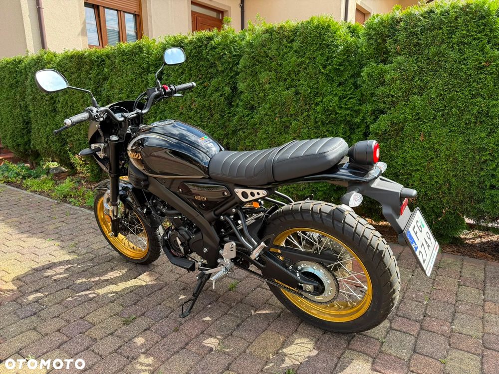 Yamaha XSR - 6