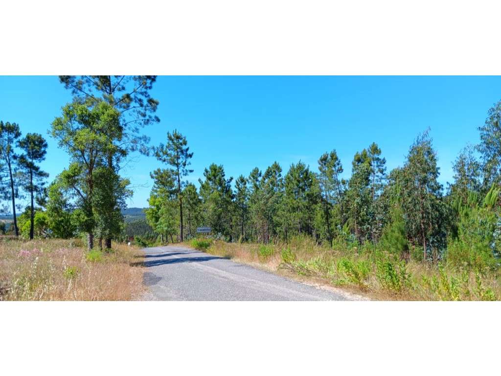 Terreno Rústico (Possibilidade de construção de Moradia ) - em Casa... - Grande imagem: 2/7