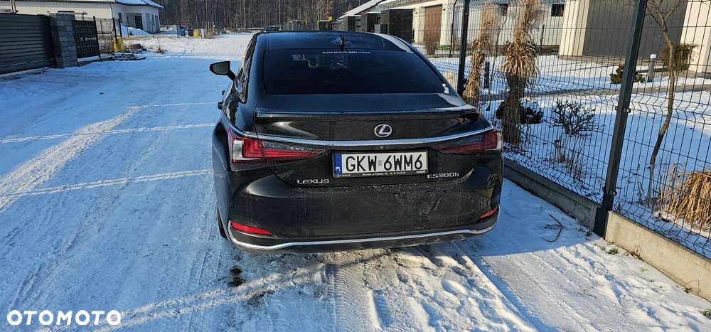 Lexus ES 300h Omotenashi - 4
