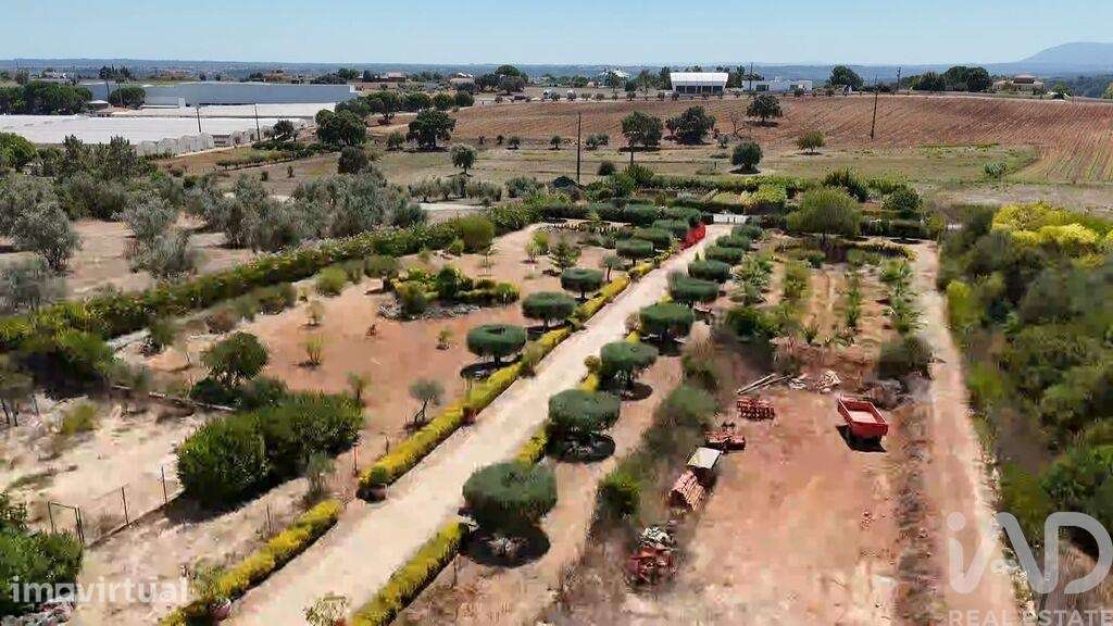 Terreno Agrícola em Azambujeira e Malaqueijo - Grande imagem: 4/40
