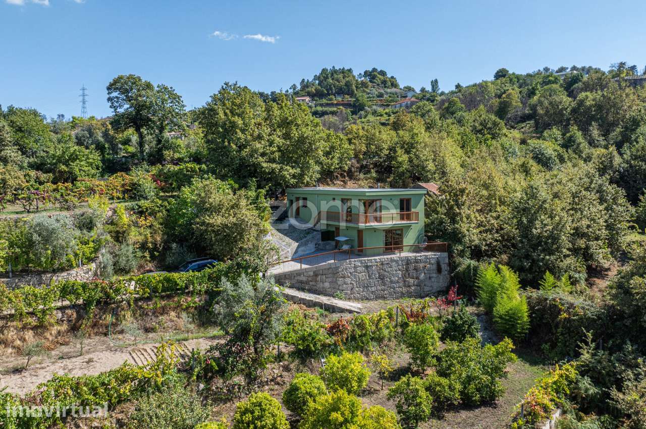 Quintinha Charmosa no Douro | Piscina, Vinha e Natureza | Cinfães - Grande imagem: 2/41