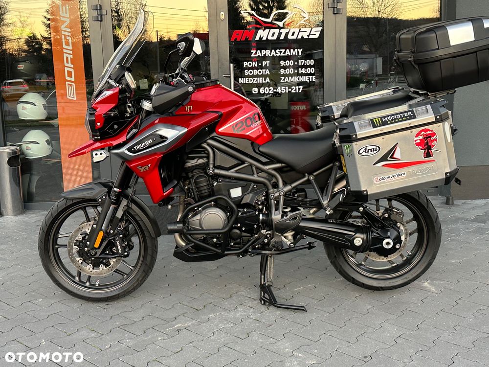 Triumph Tiger - 31